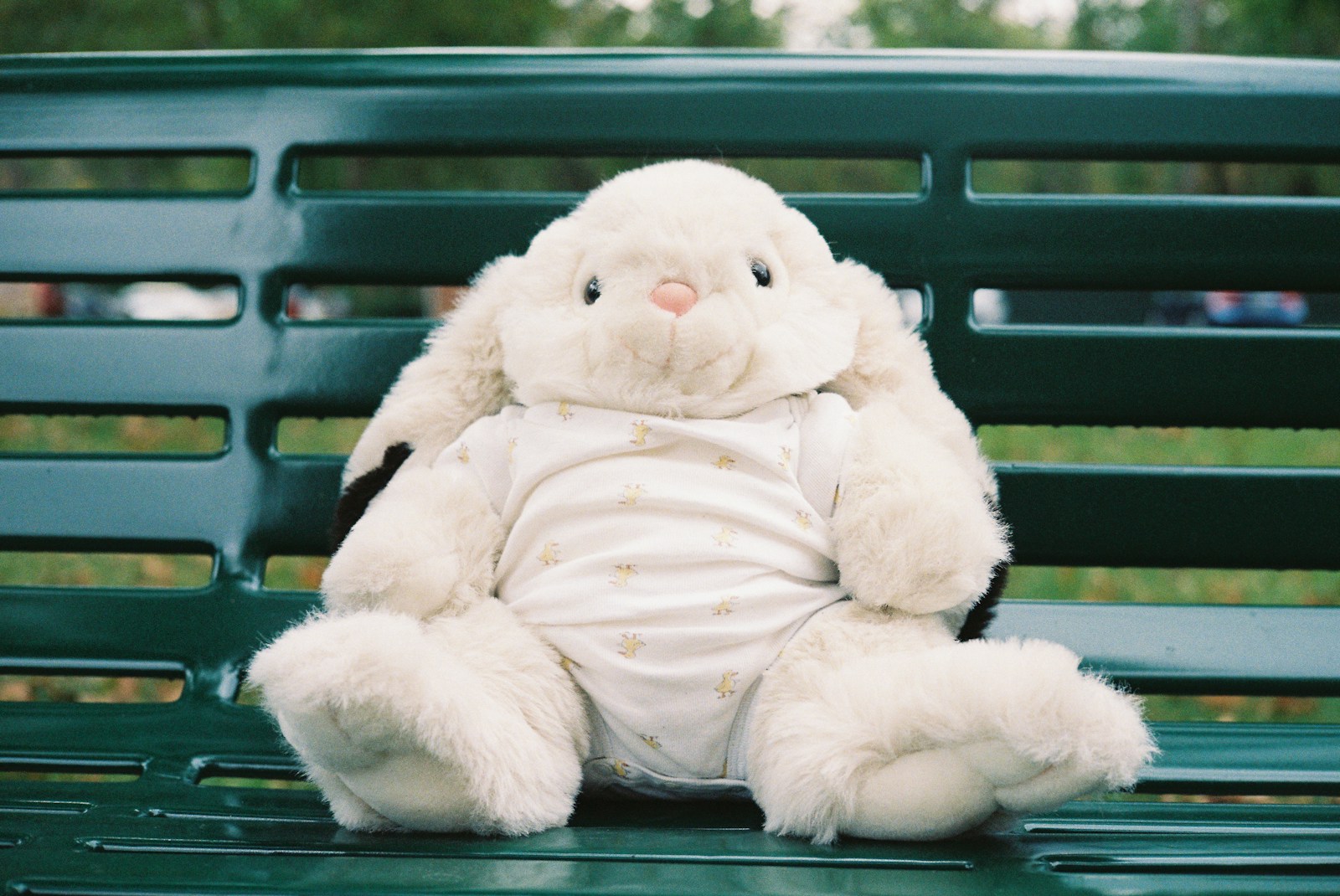 How to Choose the Perfect Plushie for Any Age