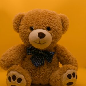 Teddy Bear
