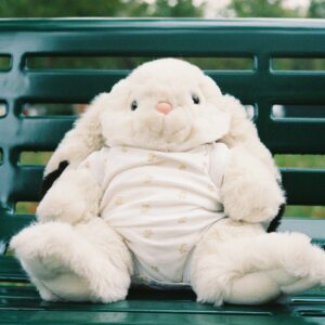 Bunny