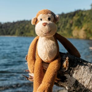 Monkey