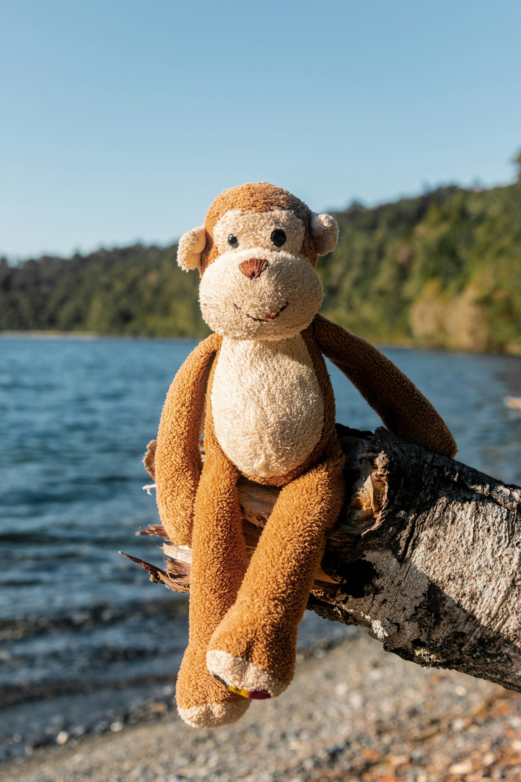 Monkey